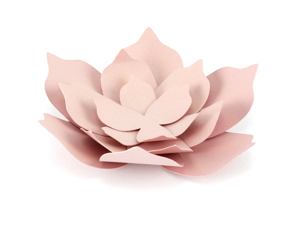 Papir Dekorasjon Dus Rosa blomst